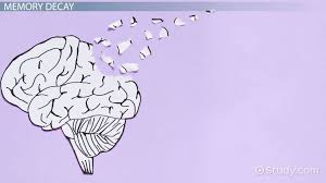 .thing that came to our heads just so happened to be the best song in the world it was the best outro this is just a tribute you've got to believe me and i wish you were there just a matter of the song plays out as a tribute to the actual best song in the world that the d have forgotten what. Types Of Forgetting Memory Decay Video Lesson Transcript Study Com
