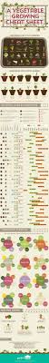 Vegetable Growing Cheat Sheet Infographic Gardening