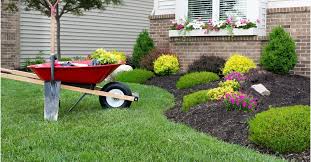 In 2020, we launched backyard with the mission of creating a place for everyone to play, talk and in a few short months, backyard became the primary home for millions of people from around the world. 7 Tips For A Better Lawn Power Equipment Direct Launches Virtual Lawncare Guides