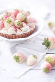 Fruit Tarts To Make Now 2 Winter Fruit Tart Sweet Tarts Sweet Pie