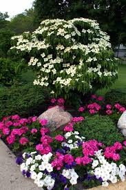 Want Petunias That Will Bloom All Summer Follow Our Petunia Care Guide Most Beautiful Gardens Avec Images Beaux Jardins Jardins Fleur Jardin