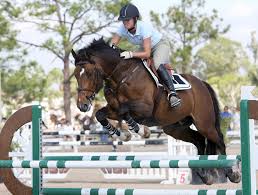 Long, very sloped pasterns can break down with repeated stress, which of course jumping is. Equestrian Events At The Olympic Games