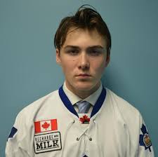 Five Cape Breton-born players selected at QMJHL Entry Draft