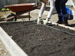 It may seem like a matter of tossing in a few amendments and putting your plants in the earth, but carefully preparing your garden soil is key to having a healthy garden down the road. Preparing Garden Soils For Spring Planting Signals Az