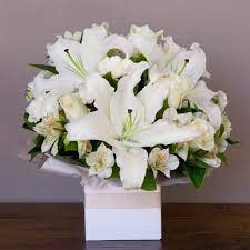 Flower delivery to home, churches and crematorium is free. Sympathy Flowers Sydney Order Sympathy Flowers Online