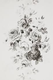 Black And White Rose Wallpaper Drawing Magnolia Home Tea Rose Wallpaper Rose Wallpaper Floral Wallpaper Black And White Roses