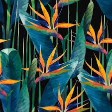 Sky bird of paradise in a wildlife by a watercolor set of 73 files. Watercolor Painting Tropical Bird Of Paradise Plants Painting By Elaine Plesser