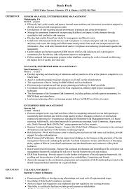 Enterprise Risk Management Resume Samples Velvet Jobs