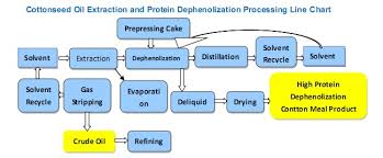 Simply put, the liver acts as the body's detoxifying agent. Cottonseed Oil Extraction Machine Find Cottonseed Oil Extractor Equipment Manufacturers And Suppliers Htoilmachine Com