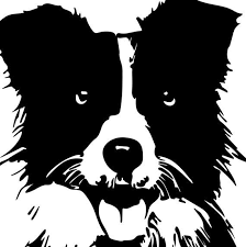 Border Collie Sheep Dog Svg File Collie Dog Svg For Cricut Etsy In 2021 Collie Dog Border Collie Collie