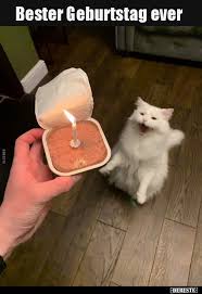 Witzige bilder kostenlos zum geburtstag mit sprüche und wünschen für facebook und foren. 216m Aftpnrrhm