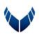 AVIAGE SYSTEMS