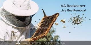 Bee safe bee removal team arrived at a customer's cable box to remove a beehive that was built inside. San Diego Beekeeper Sdbeekeeper Twitter