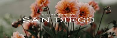 Send flowers today san diego. The 7 Best Options For Same Day Flower Delivery In San Diego 2021