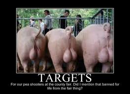 Some things are better with age. Pig Quotes And Sayings Quotesgram