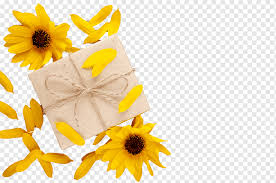 Check spelling or type a new query. Flower Gift Sunflower Gift Box Flower Png Pngwing
