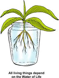 Image result for images for water of life