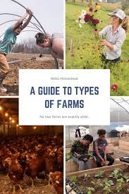 A Guide To Types Of Farms Types Of Farming Farm Type