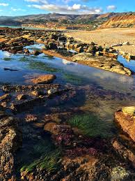 Hikers allowed on all trails. Things To Do