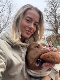 Foster home needed for high energy dog