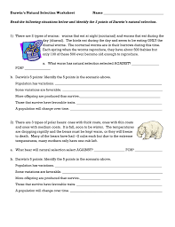 More able children are challenged with the task of having to write their own paragraph. Darwin S Natural Selection Worksheet
