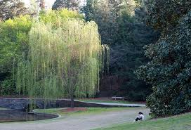 Check spelling or type a new query. Flowers Drive Durham Mapio Net