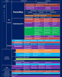 Imgur Pharmacology Nursing Medicine Student Antibiotics Pharmacology