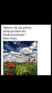 Bahcem Tek Sap Gelincik Gulup Gecilse De Olur Gozde Buyutulse De Metin Eloglu Bahce Gozler