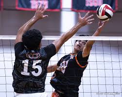 Shinagawa stepped up to propel Cougars into D2 final four