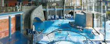 Mijn ultieme, ontspannen badkamermomentje top ik af met lekkere, luxe verzorgingsproducten van therme, zoals de nieuwe. Claudius Therme In Koln Ein Besonderes Wellnesserlebnis