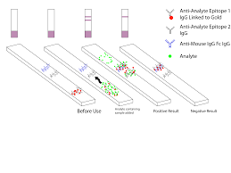 Medical definition of malaria parasite: Malaria Antigen Detection Tests Wikipedia