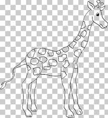 Coloring Book Zoo Animals Png Images Coloring Book Zoo Animals Clipart Free Download