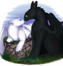 Toothless And His Light Fury The White Night Fury Mate How To Train Your Dragon How Train Your Dragon Night Painting