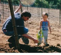 Wine review appleton wi menu, flanagan's wine review menu. Flanagan Wines Winervana