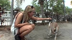 Interview with Jenny Scordamaglia from MiamiTVHD Miami TV - fr fuite nue  sexy