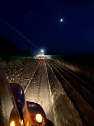 Quin Fenendael (@quin_fenendael)