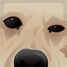 Scopri ricette, idee per la casa, consigli di stile e altre idee da provare. Og Xbox 360 Gamerpics Dog Original Profile Picture Xbox 360 Pfp Novocom Top P S Catherine As Been Added Apoiarosportingsempre