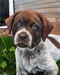 Pet portraits are painted from the photos you provide. Custom Pet Portraits In Oil Hand Painted By Real Artists Paintyourlife
