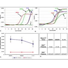 Qrt Pcr Data Analysis Delta Rn Vs Cycle A B Real Time Pcr Download Scientific Diagram