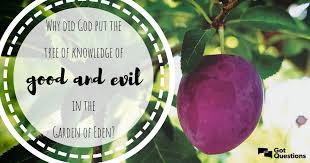The fruit of the tree of life. Why Did God Put The Tree Of Knowledge Of Good And Evil In The Garden Of Eden Gotquestions Org