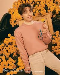 In stray kids' bang chan's recent episode of chan's 'room,' he revealed the funny way he became close friends with seventeen's vernon. Dino Your Choice Maknae Music Ot13 Kpop Seventeen Carat I Dream Of Love Hd Mobile Wallpaper Peakpx