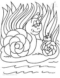 1001 Ausmalbilder Tiere Schnecke Schnecke Ausmalbild