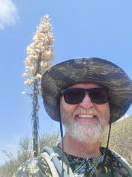 Who is available to dive at Aurora Res during summer for Dive Master  training practice?