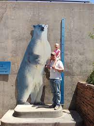 What is the standing height of a polar bear? Polar Bear Standing Chris Kindred