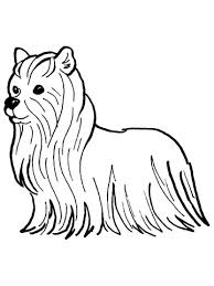 35+ boston terrier coloring pages for printing and coloring. Terrier Free Printable Coloring Pages For Girls And Boys