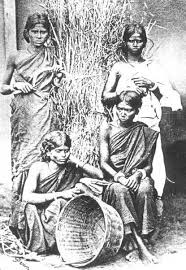 dhivehi bavana