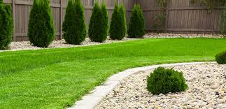 We did not find results for: Could Your Lawn Look Surprisingly Better