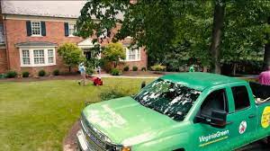 Check out our services today! Fall Lawn Care Tips From The Pros At Virginia Green