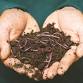 Make Your Own Mini Worm Farm event image