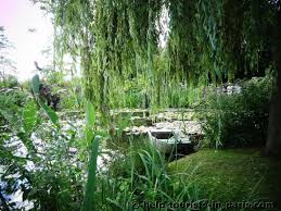 See more ideas about giverny, monet, monet garden giverny. Tagesausflug Nach Giverny